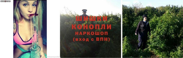 гидропоника Осташков