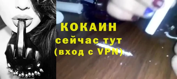 мдпв Осинники