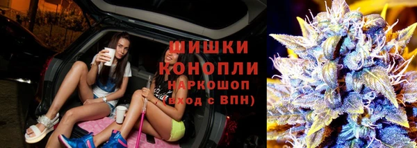мдпв Осинники