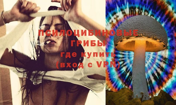 мдпв Осинники
